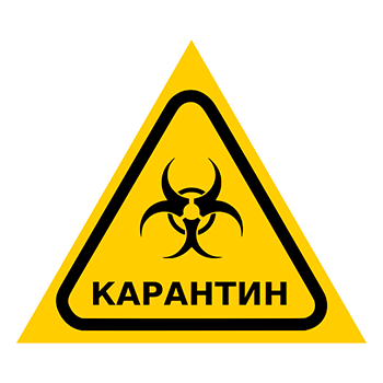 Знак «Карантин», Q13.6 (пленка, сторона 300 мм)